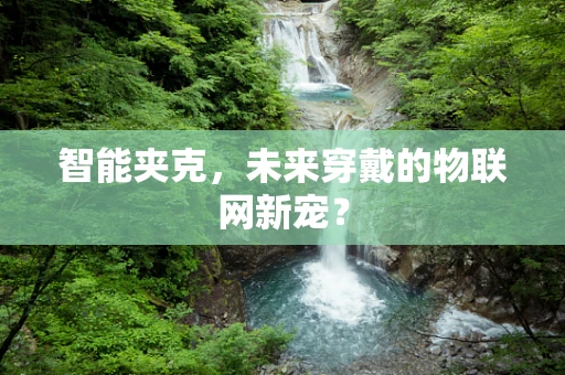 智能夹克，未来穿戴的物联网新宠？