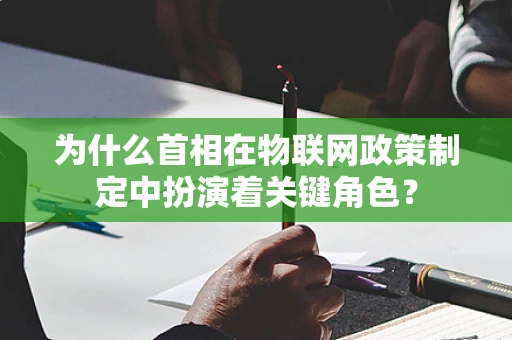 为什么首相在物联网政策制定中扮演着关键角色？