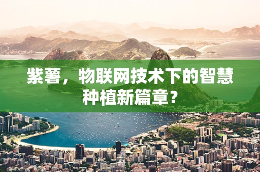 紫薯，物联网技术下的智慧种植新篇章？