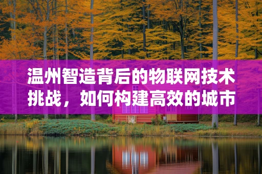 温州智造背后的物联网技术挑战，如何构建高效的城市物联网生态系统？