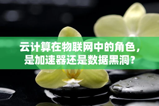 云计算在物联网中的角色，是加速器还是数据黑洞？