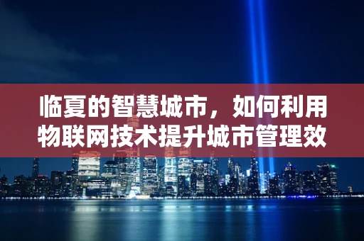 临夏的智慧城市，如何利用物联网技术提升城市管理效率？