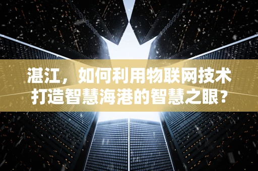 湛江，如何利用物联网技术打造智慧海港的智慧之眼？