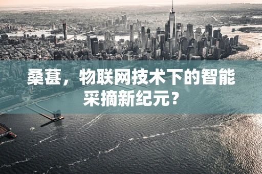 桑葚，物联网技术下的智能采摘新纪元？