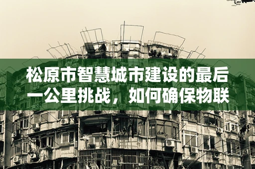 松原市智慧城市建设的最后一公里挑战，如何确保物联网技术深度融入市民生活？