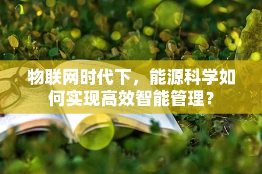 物联网时代下，能源科学如何实现高效智能管理？