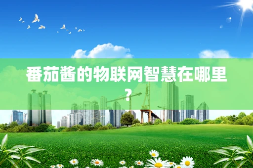 番茄酱的物联网智慧在哪里？