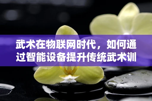 武术在物联网时代，如何通过智能设备提升传统武术训练的效率与安全性？