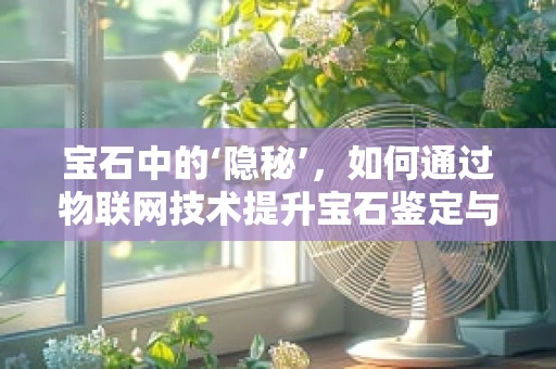 宝石中的‘隐秘’，如何通过物联网技术提升宝石鉴定与防伪？