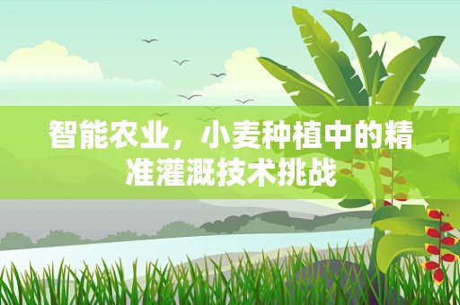 智能农业，小麦种植中的精准灌溉技术挑战