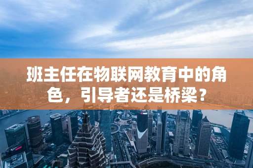 班主任在物联网教育中的角色，引导者还是桥梁？