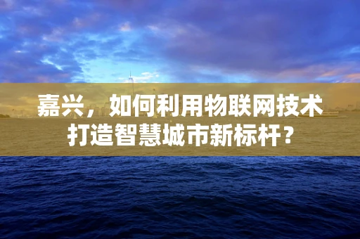 嘉兴，如何利用物联网技术打造智慧城市新标杆？