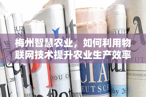 梅州智慧农业，如何利用物联网技术提升农业生产效率？