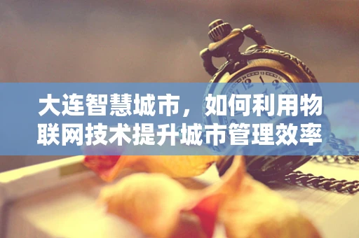 大连智慧城市，如何利用物联网技术提升城市管理效率？