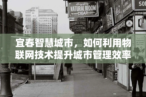 宜春智慧城市，如何利用物联网技术提升城市管理效率？