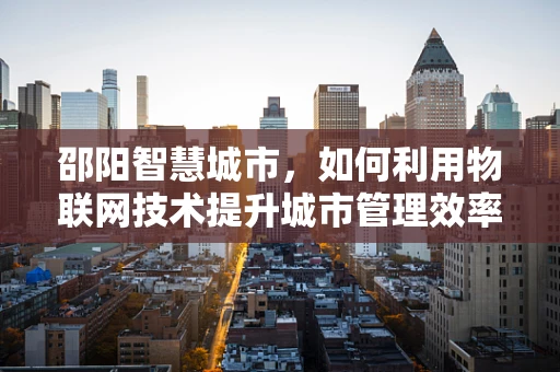 邵阳智慧城市，如何利用物联网技术提升城市管理效率？