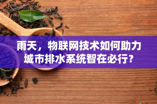 雨天，物联网技术如何助力城市排水系统智在必行？