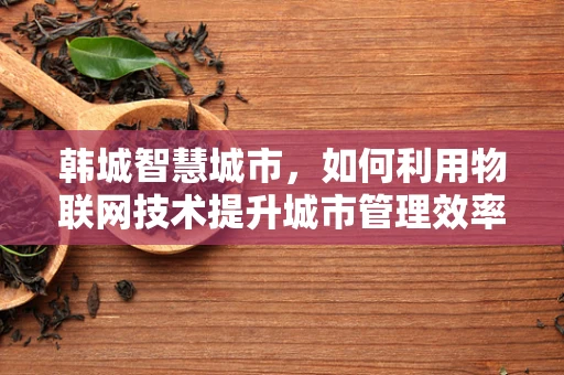 韩城智慧城市，如何利用物联网技术提升城市管理效率？