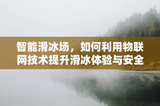 智能滑冰场，如何利用物联网技术提升滑冰体验与安全？