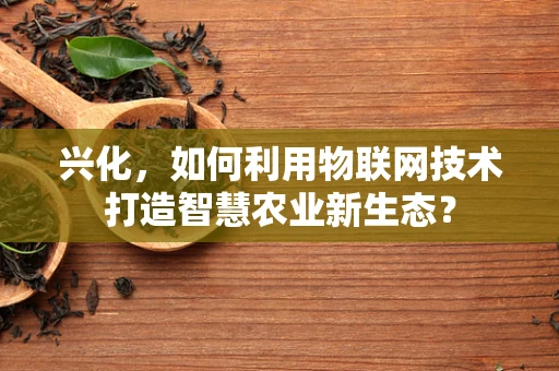 兴化，如何利用物联网技术打造智慧农业新生态？