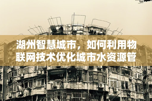 湖州智慧城市，如何利用物联网技术优化城市水资源管理？
