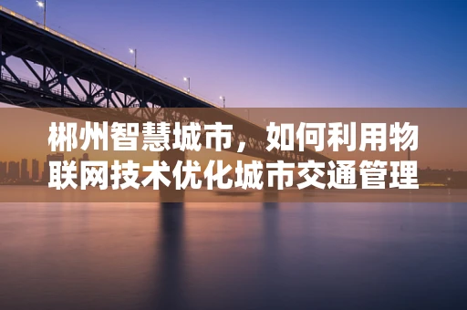 郴州智慧城市，如何利用物联网技术优化城市交通管理？