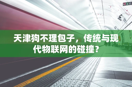天津狗不理包子，传统与现代物联网的碰撞？