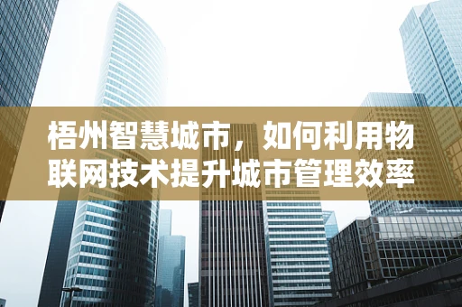 梧州智慧城市，如何利用物联网技术提升城市管理效率？