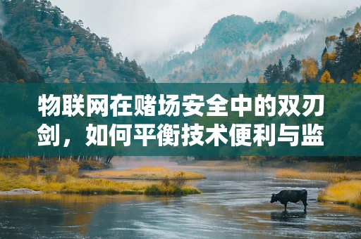 物联网在赌场安全中的双刃剑，如何平衡技术便利与监管挑战？