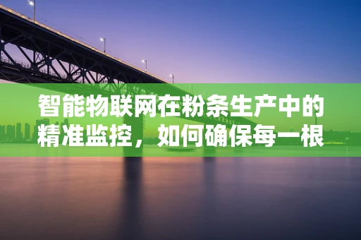 智能物联网在粉条生产中的精准监控，如何确保每一根粉条的‘纯净’之旅？