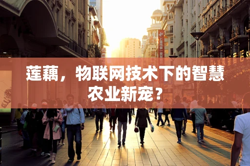莲藕，物联网技术下的智慧农业新宠？