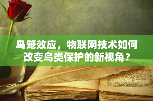 鸟笼效应，物联网技术如何改变鸟类保护的新视角？