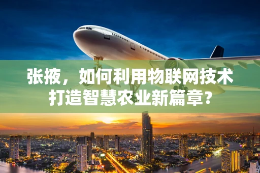 张掖，如何利用物联网技术打造智慧农业新篇章？