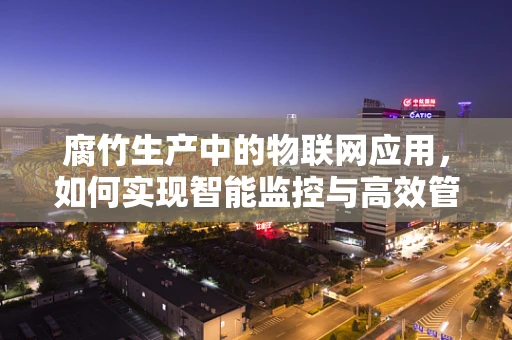 腐竹生产中的物联网应用，如何实现智能监控与高效管理？