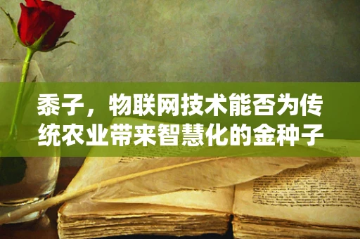 黍子，物联网技术能否为传统农业带来智慧化的金种子？