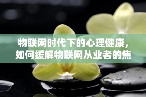 物联网时代下的心理健康，如何缓解物联网从业者的焦虑症？