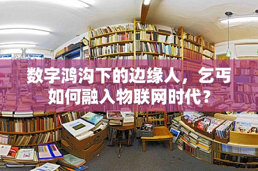 数字鸿沟下的边缘人，乞丐如何融入物联网时代？