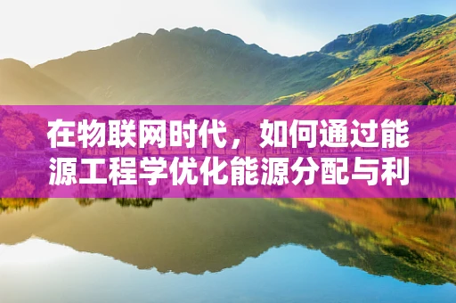 在物联网时代，如何通过能源工程学优化能源分配与利用？