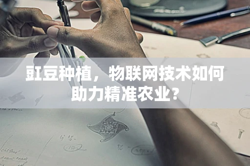 豇豆种植，物联网技术如何助力精准农业？