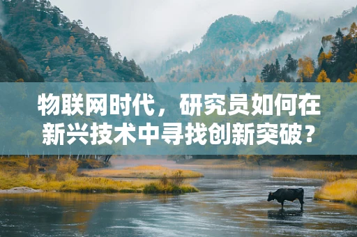 物联网时代，研究员如何在新兴技术中寻找创新突破？