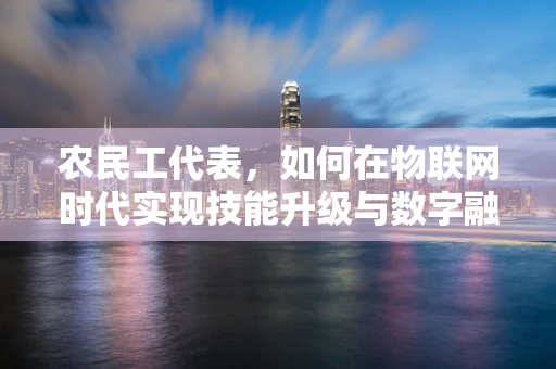 农民工代表，如何在物联网时代实现技能升级与数字融入？