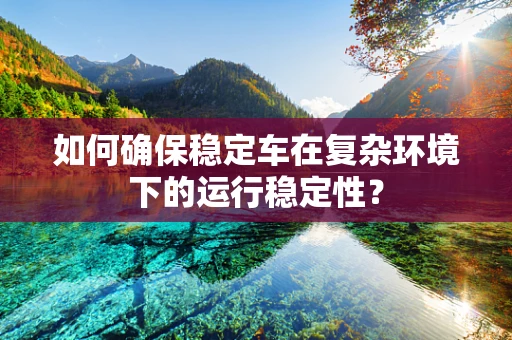 如何确保稳定车在复杂环境下的运行稳定性？
