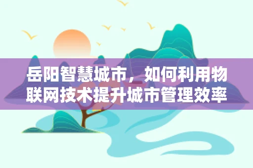 岳阳智慧城市，如何利用物联网技术提升城市管理效率？