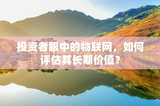 投资者眼中的物联网，如何评估其长期价值？