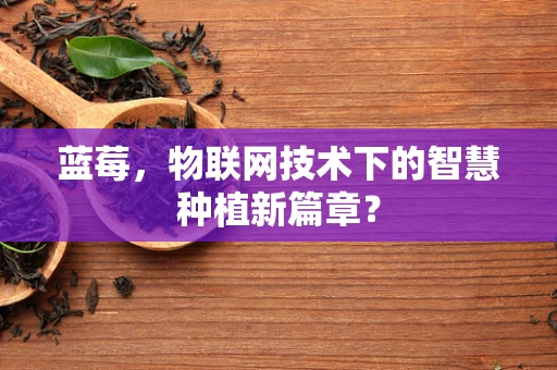 蓝莓，物联网技术下的智慧种植新篇章？