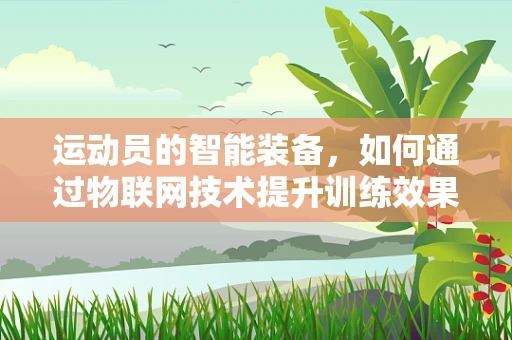 运动员的智能装备，如何通过物联网技术提升训练效果？