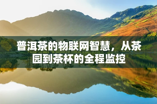 普洱茶的物联网智慧，从茶园到茶杯的全程监控