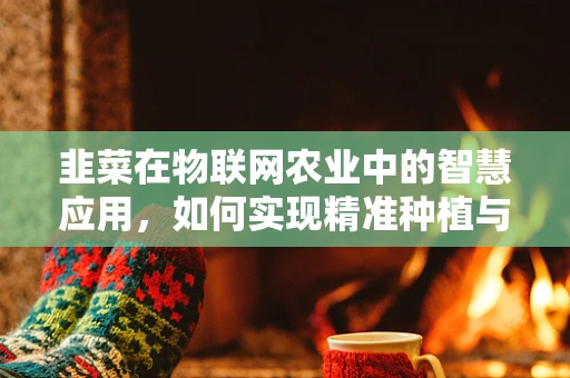 韭菜在物联网农业中的智慧应用，如何实现精准种植与监控？