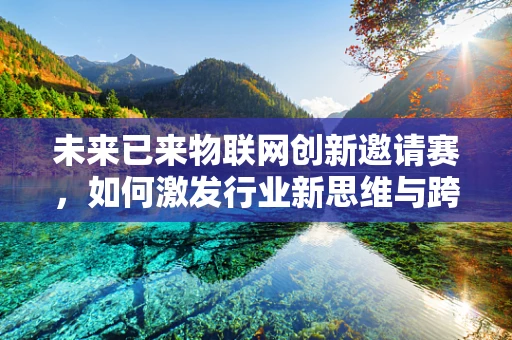 未来已来物联网创新邀请赛，如何激发行业新思维与跨界合作？
