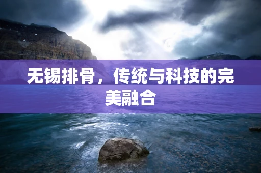 无锡排骨，传统与科技的完美融合